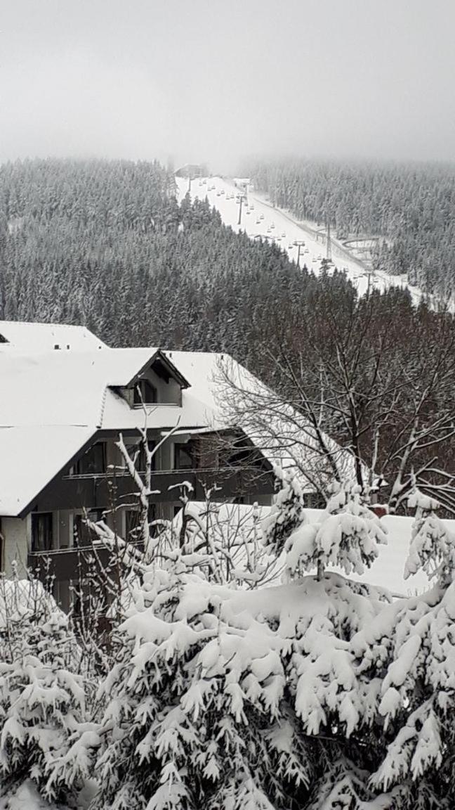 Ferienwohnung Steffens Hahnenklee Wohnung 25 Goslar Bagian luar foto
